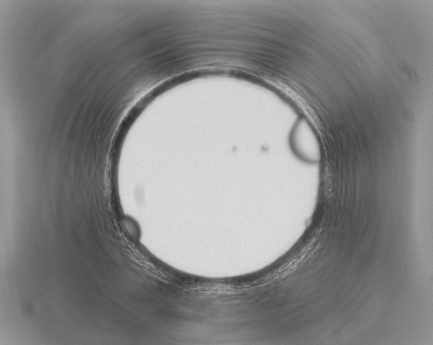X0000115290783200912141054