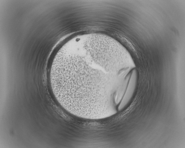 X0000115290784200912141054