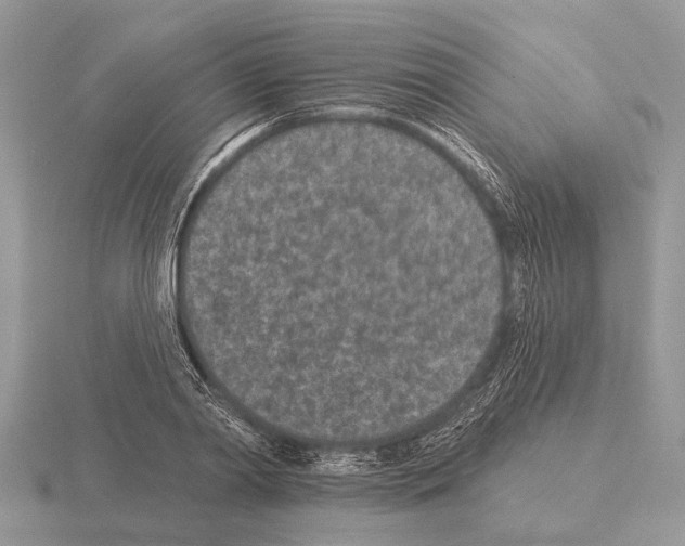X0000115290790200912141054