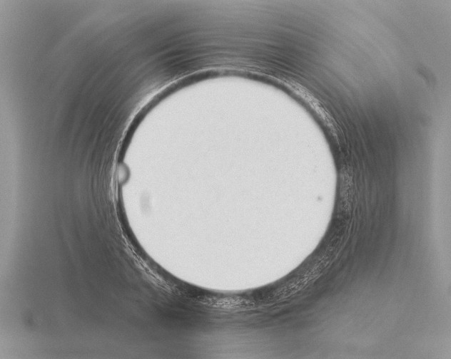 X0000115290791200912141054