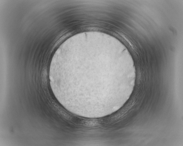 X0000115290798200912141054