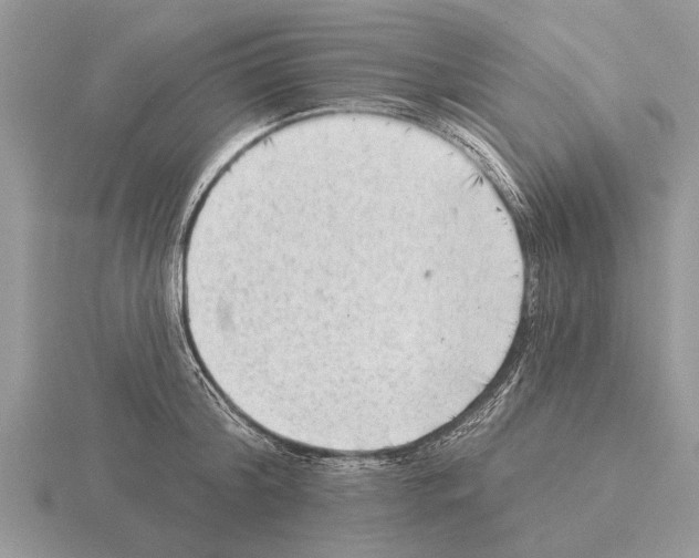 X0000115290804200912141054