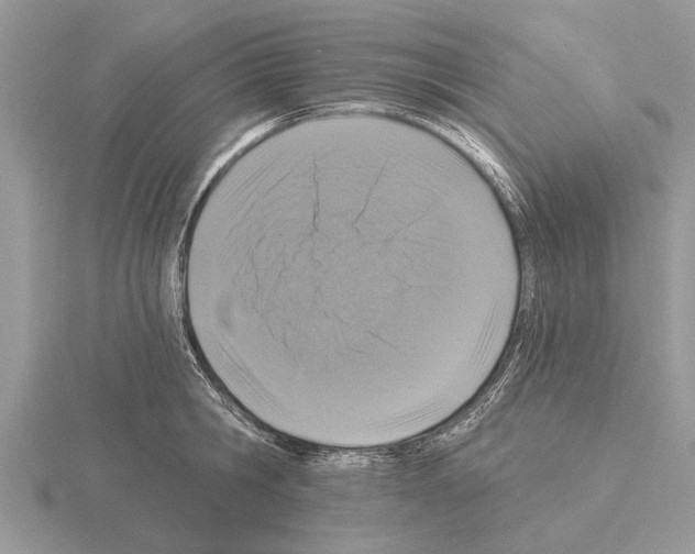 X0000115290806200912141054