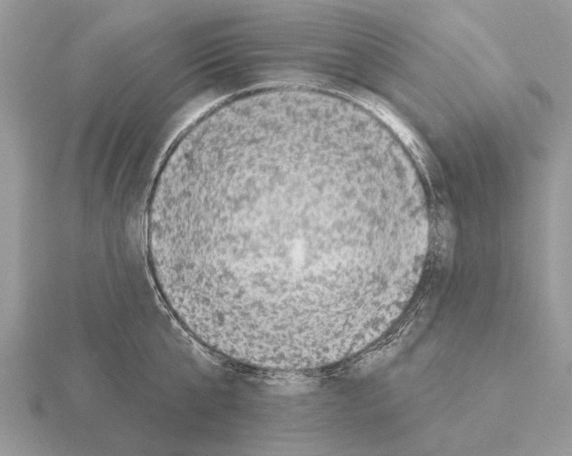 X0000115290807200912141054