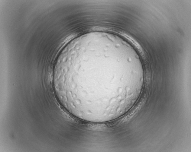 X0000115290809200912141054