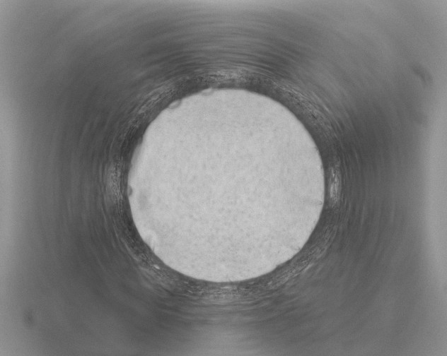 X0000115290819200912141053
