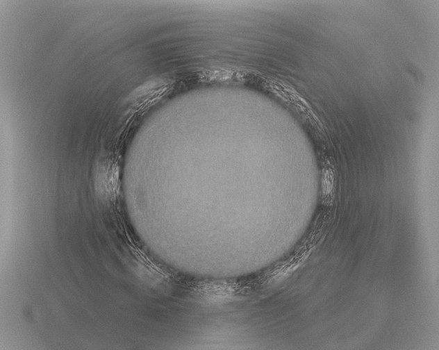 X0000115290820200912141053