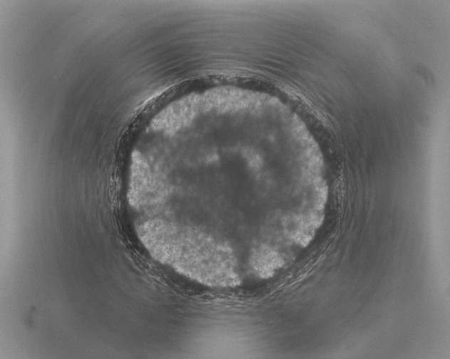 X0000115290822200912141053