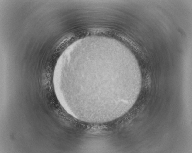 X0000115290824200912141053