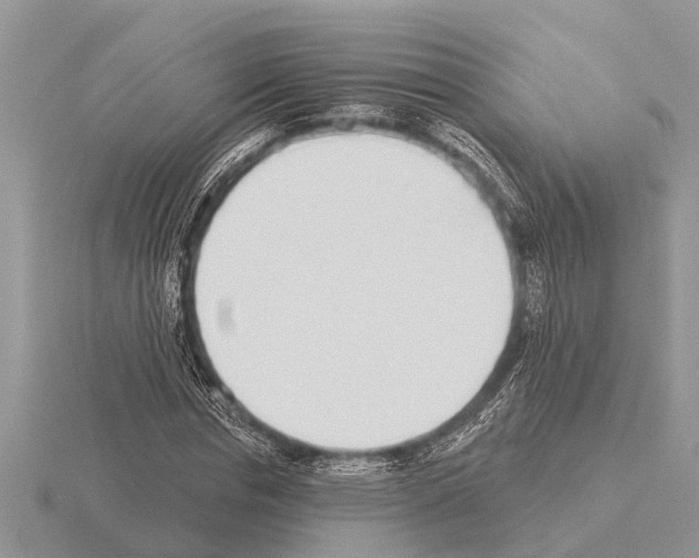 X0000115290826200912141054