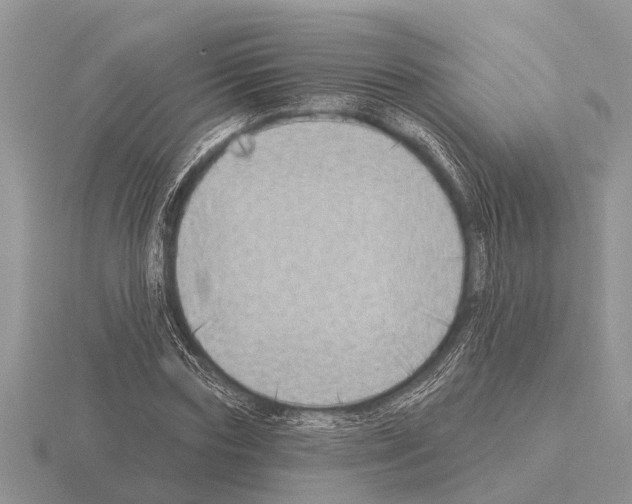 X0000115290827200912141054