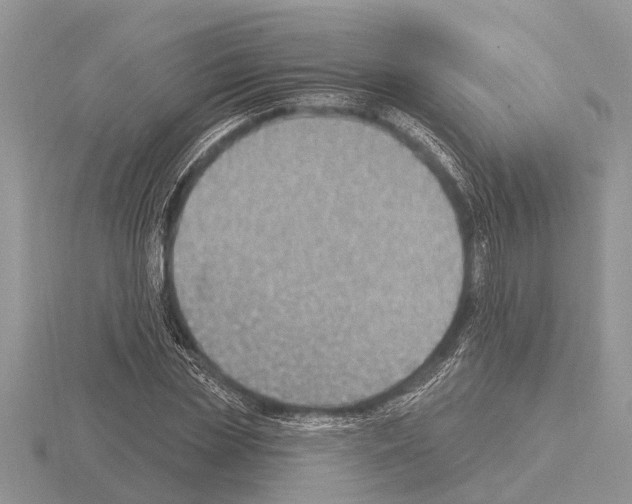 X0000115290829200912141054