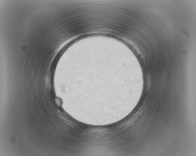 X0000115290830200912141054