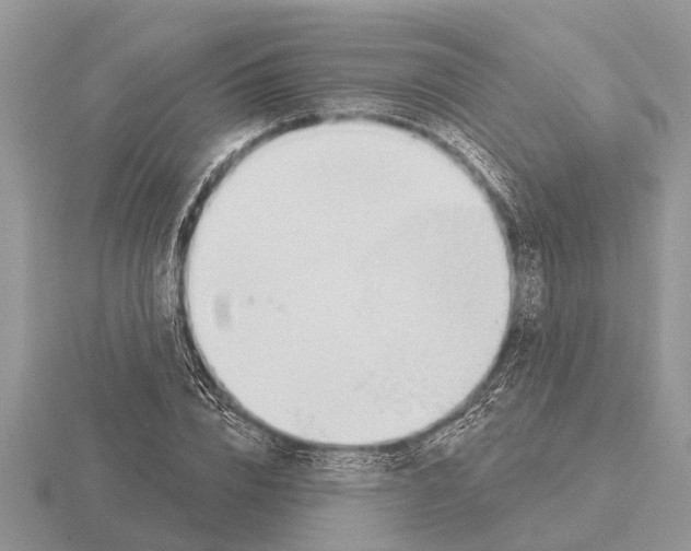 X0000115290832200912141054