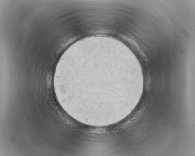 X0000115290833200912141054