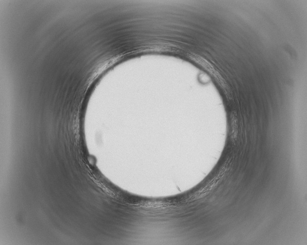 X0000115290834200912141054