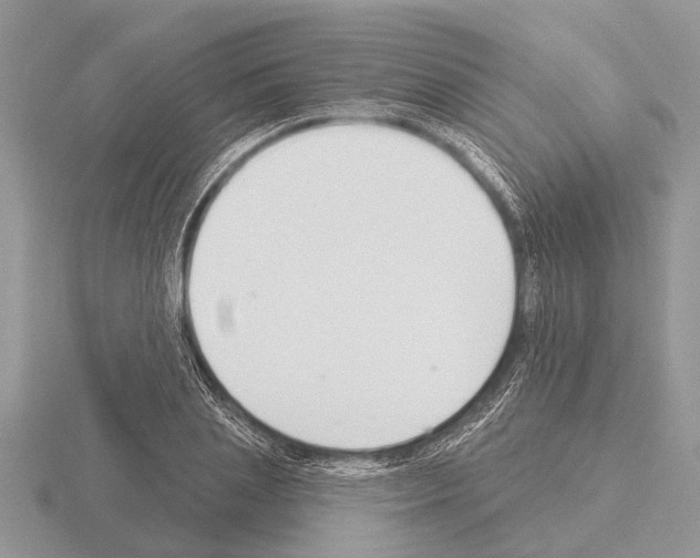X0000115290837200912141054