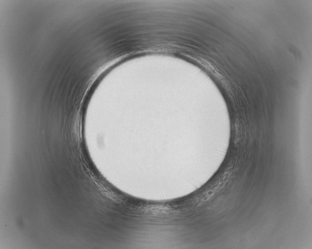 X0000115290838200912141054