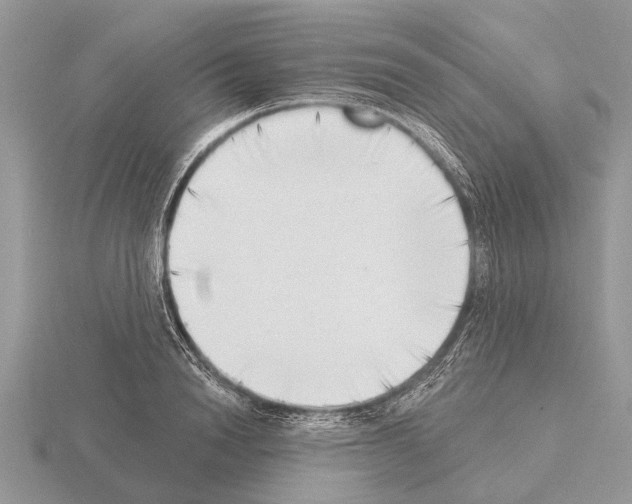X0000115290846200912141054
