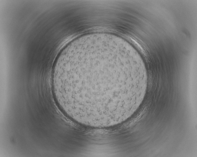 X0000115290847200912141054