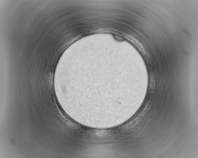 X0000115290849200912141054