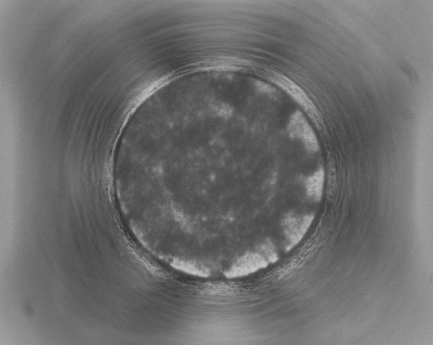 X0000115290850200912141054