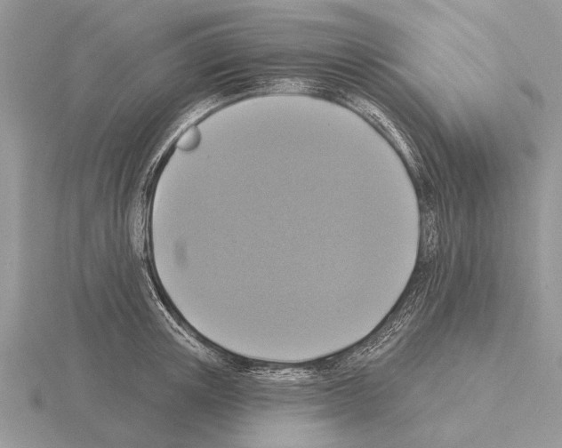 X0000115290851200912141054