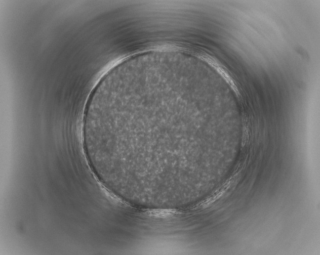 X0000115290853200912141054