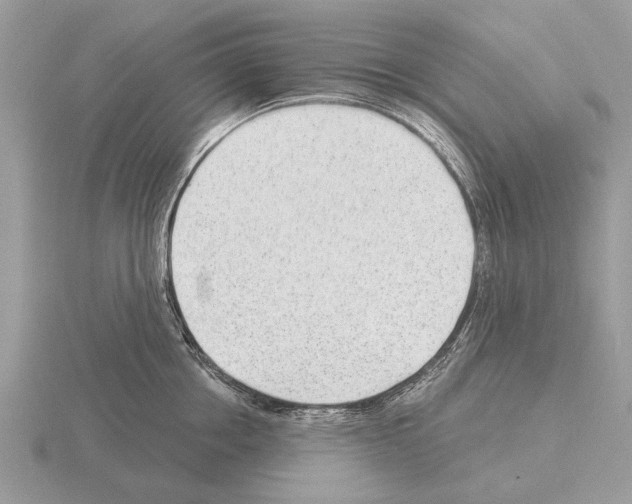X0000115290858200912141054