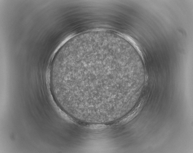X0000115290859200912141054