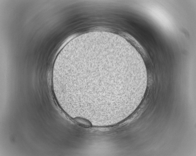 X0000115290860200912141054