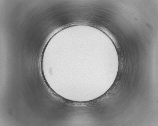 X0000115290861200912141054