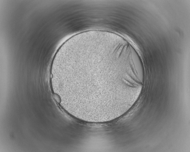 X0000115290862200912141054