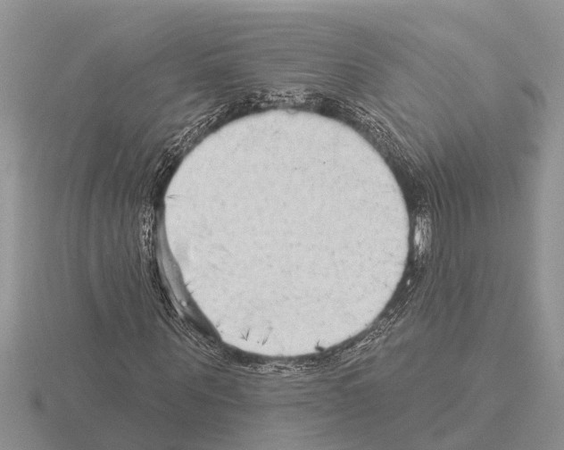 X0000115290867200912141053