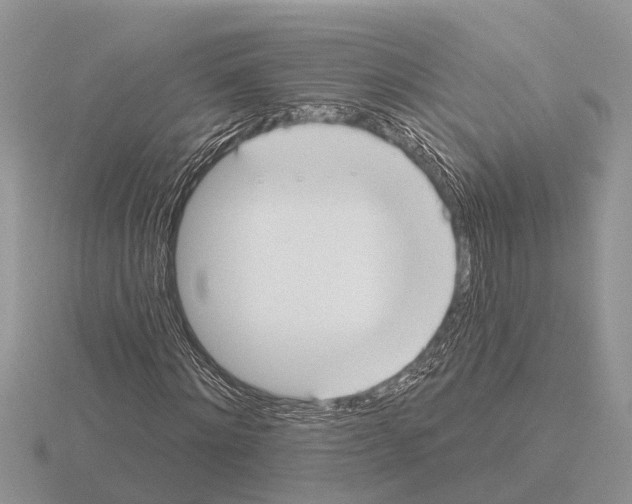 X0000115290868200912141053