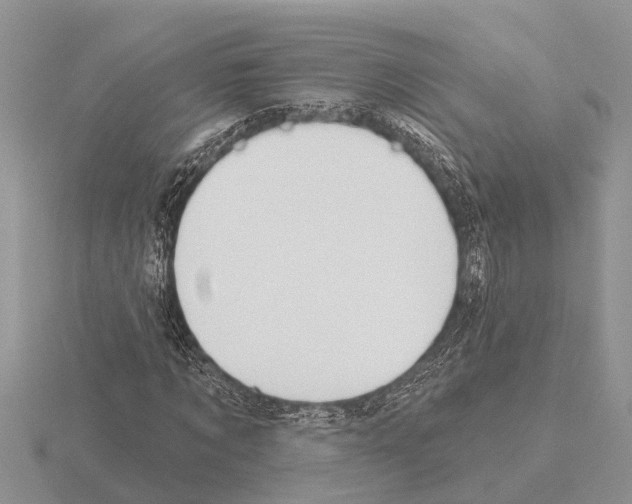 X0000115290869200912141053