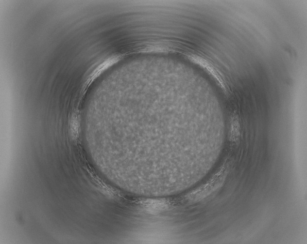 X0000115290874200912141053