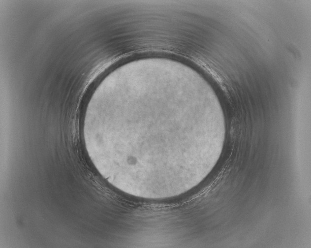 X0000115290877200912141053