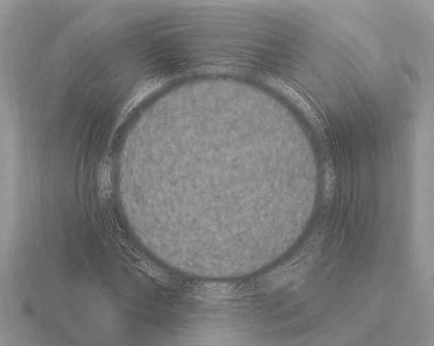 X0000115290878200912141053
