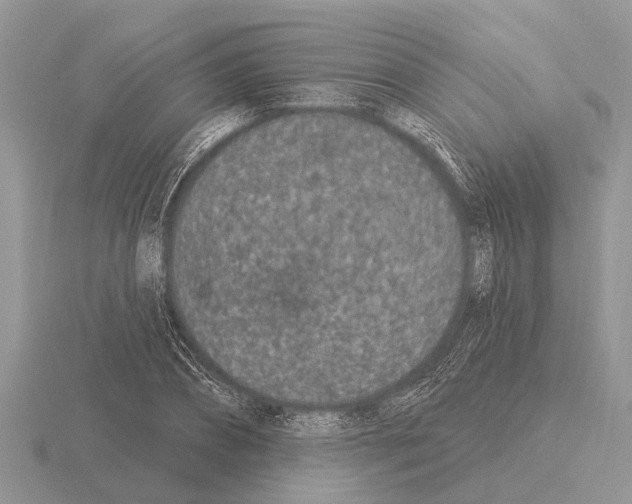 X0000115290882200912141053
