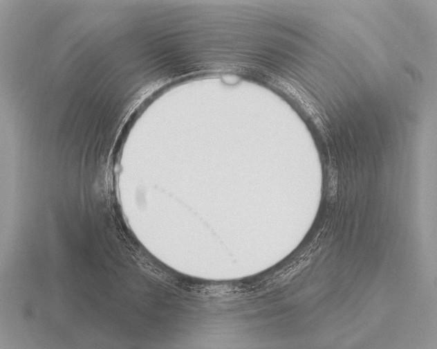 X0000115290883200912141053
