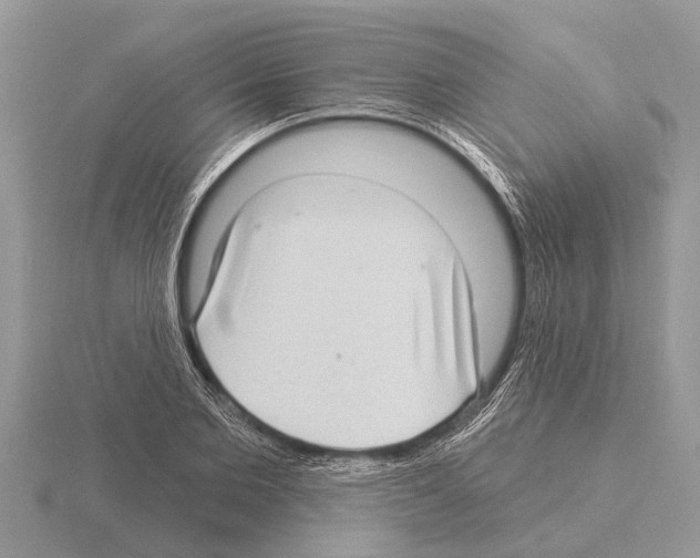 X0000115290885200912141053