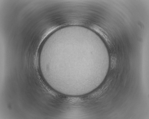 X0000115290886200912141053