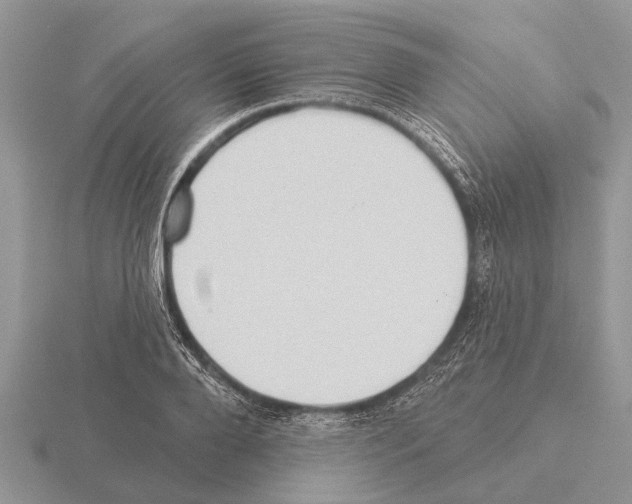 X0000115290888200912141053