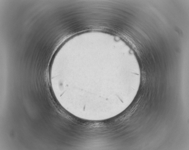 X0000115290891200912141053