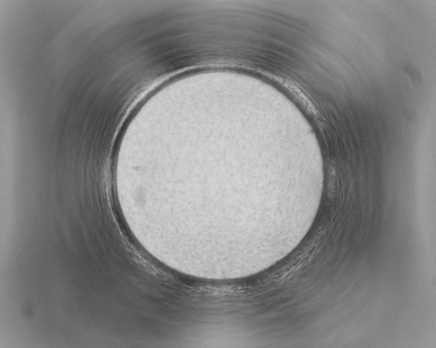 X0000115290895200912141053