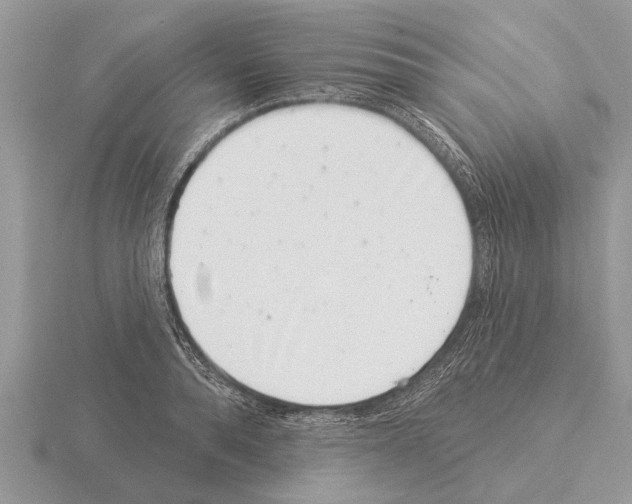 X0000115290896200912141053