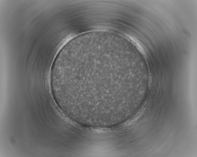 X0000115290899200912141053