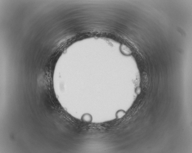 X0000115290918200912141052