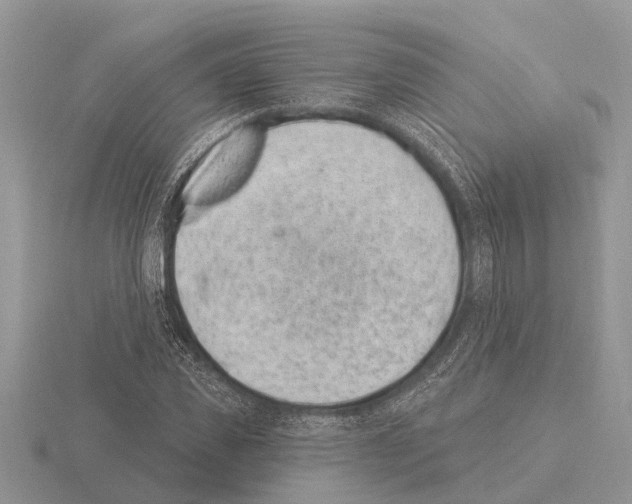 X0000115290925200912141052